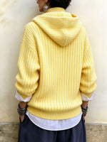 Sunlit Ribbed Knit Hooded Half-Zip Pullover